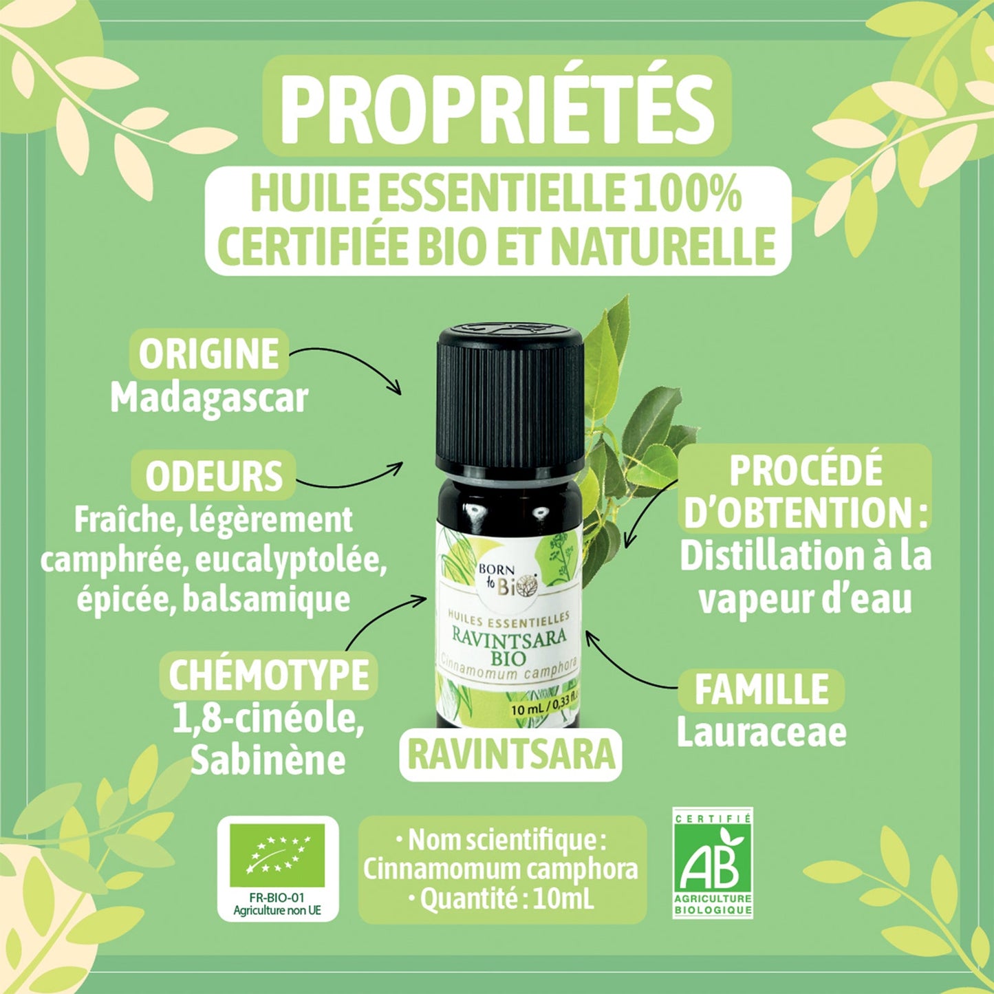 Huile essentielle Ravintsara Certifiée Bio-1
