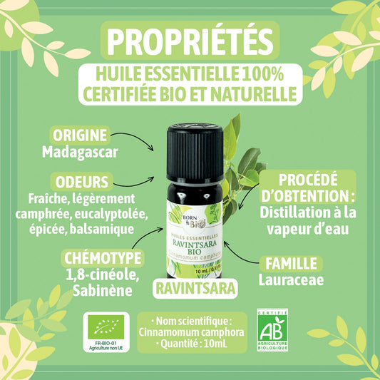 Huile essentielle Ravintsara Certifiée Bio-1